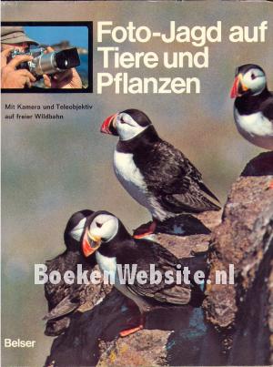Foto Jagd auf Tiere und Pflanzen Foto Jagd auf Tiere und Pflanzen