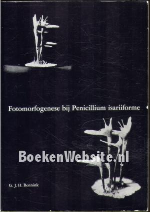 Fotomorfogenese bij Penicillium isariiforme