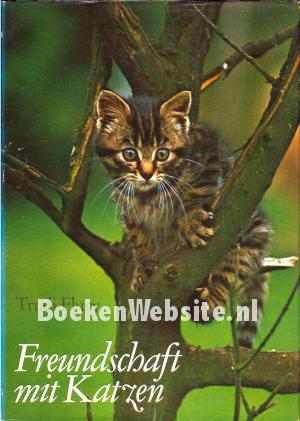Freundschaft mit Katzen