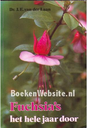 Fuchsia's het hele jaar door