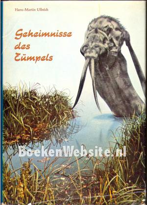 Geheimnisse des Tümpels Geheimnisse des Tümpels