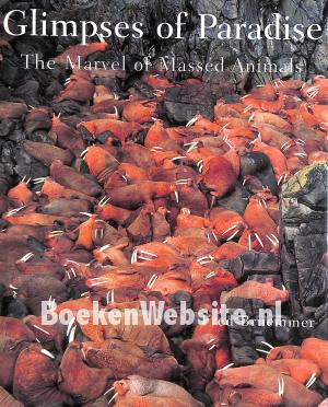 Glimpses of Paradise