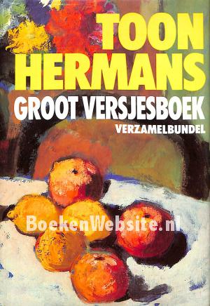 Groot versjesboek
