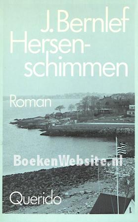 Hersen-schimmen