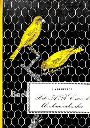 Het A B C van de kleurkanarie-kweker