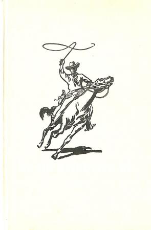 Het geheim van de zonderling