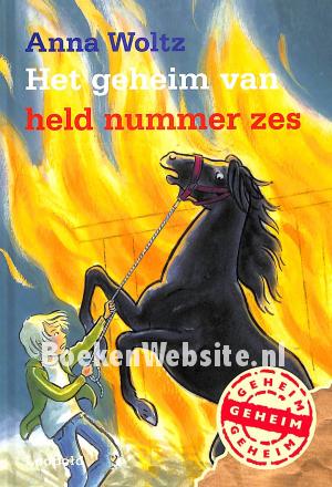 Het geheim van held nummer zes