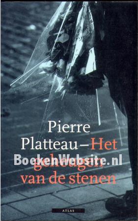 Het geheugen van de stenen