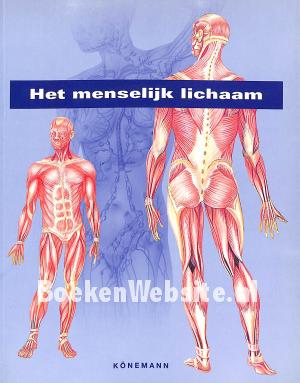 Het menselijk lichaam