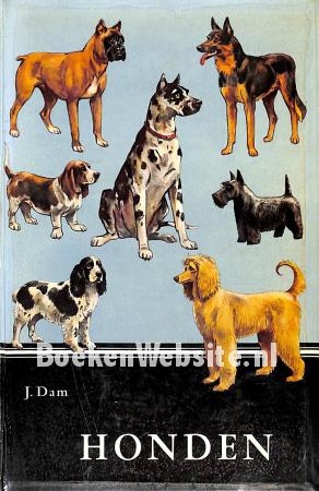 Honden