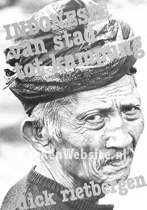 Indonesië van stad tot kampung