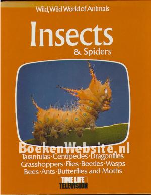 Insects & Spiders