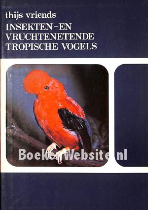 Insekten- en vruchten-etende tropische vogels Insekten- en vruchten-etende tropische vogels