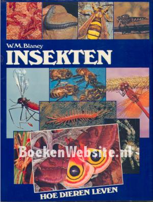 Insekten