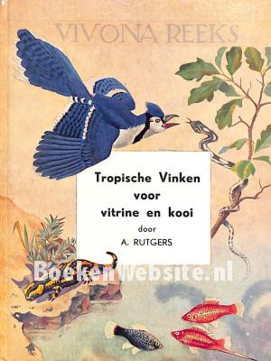 Insektenetende Tropische vogels