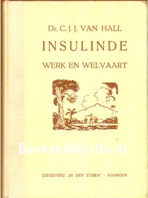 Insulinde, werk en welvaart