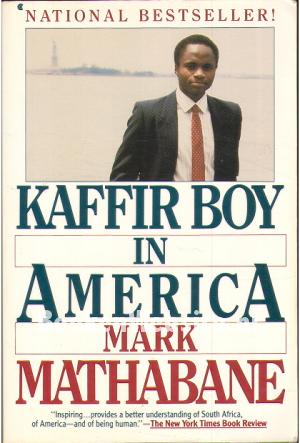 Kaffir Boy in America