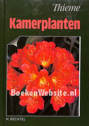 Kamerplanten