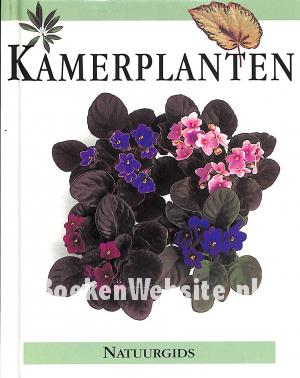 Kamerplanten