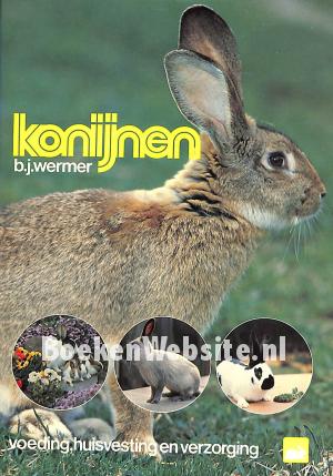 Konijnen