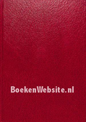 Laaiend vuur op sintels