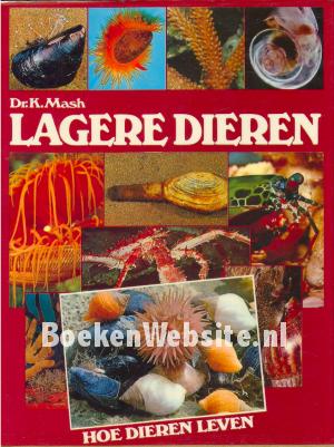 Lagere dieren