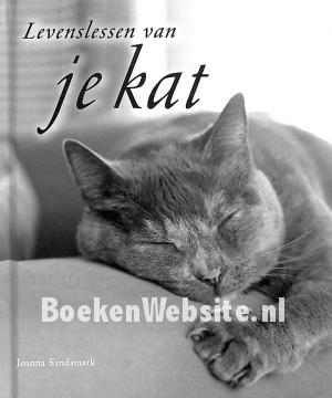 Levenslessen van je kat