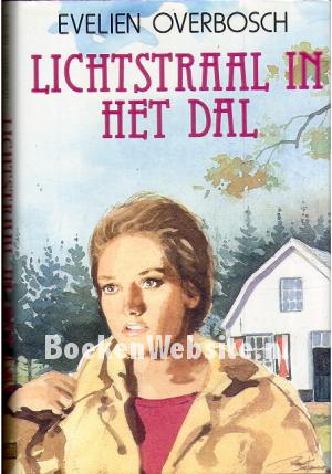 Lichtstraal in het dal