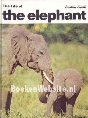 The Life of the Elephant