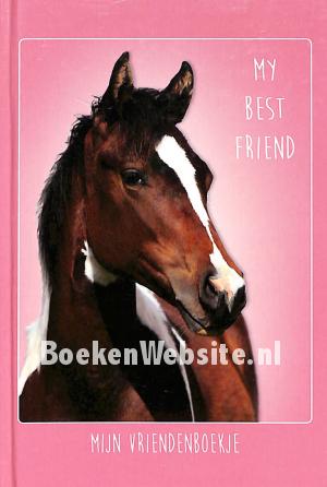 Mijn vriendenboekje