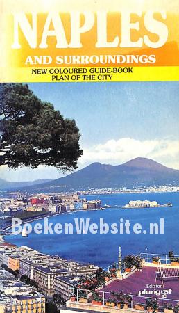 Naples and Surroundings