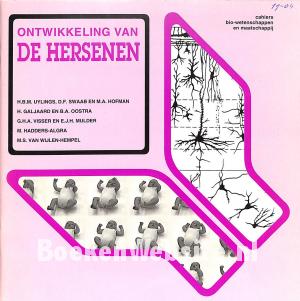 Ontwikkeling van de hersenen Ontwikkeling van de hersenen