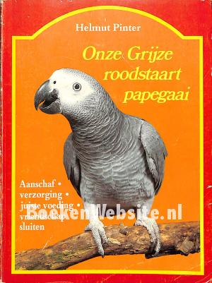 Onze grijze roodstaart papegaai Onze grijze roodstaart papegaai