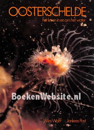 Oosterschelde het leven in en om het water Oosterschelde het leven in en om het water