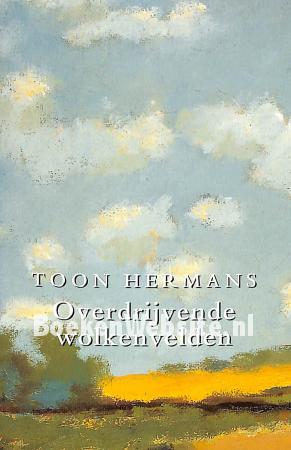 Overdrijvende wolkenvelden