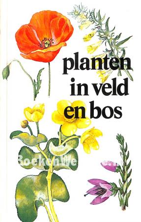Planten in veld en bos