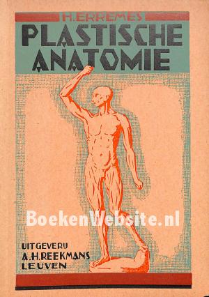 Plastische anatomie Plastische anatomie