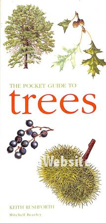 The Pocket Guide to Trees The Pocket Guide to Trees