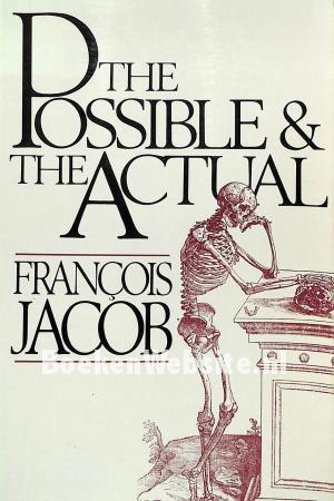 The Possible & the Actual