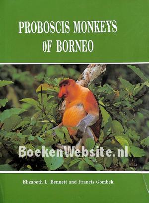 Proboscis Monkeys of Borneo