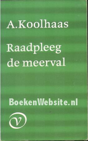 Raadleeg de meerval