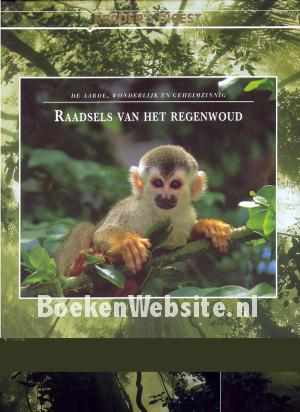 Raadsel van het Regenwoud