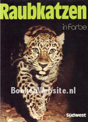 Raubkatzen in Farbe