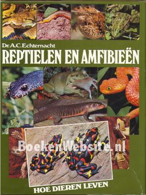 Reptielen en Amfibieën
