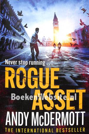 Rogue Asset Rogue Asset