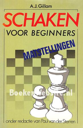Schaken voor beginners, Matstellingen