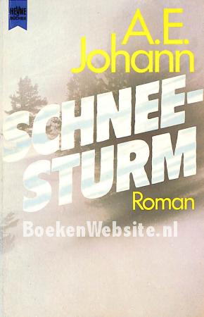 Schneesturm Schneesturm