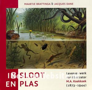 In sloot en plas In sloot en plas