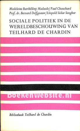 Sociale politiek in de wereldbeschouwing van Teilhard de Chardin