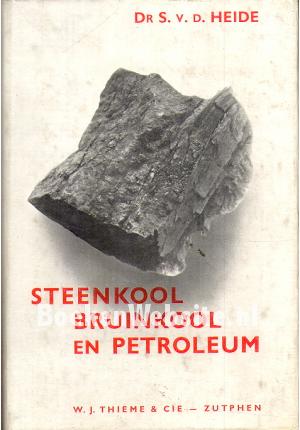 Steenkool, Bruinkool en Petroleum